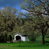 Harris Covered Bridge Poster Print by Ike Leahy - Item # VARPDXPSLHY252