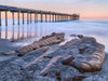 Scripps Pier III Poster Print by Lee Peterson - Item # VARPDXPSPSN321