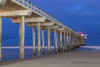 Scripps Pier II Poster Print by Lee Peterson - Item # VARPDXPSPSN320