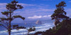 Cannon Beach XI Poster Print by Ike Leahy - Item # VARPDXPSLHY120