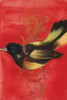 Bird Study IV Poster Print by Arielle Adkin - Item # VARPDXADK103