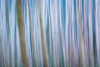 Winter Forest Abstract I Poster Print by Kathy Mahan - Item # VARPDXPSMHN665