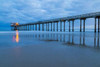 Scripps Pier I Poster Print by Lee Peterson - Item # VARPDXPSPSN319