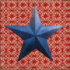 American Star II Poster Print by Paul Brent - Item # VARPDXBNT1149