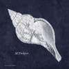 Indigo Shell III Poster Print by Gwendolyn Babbitt - Item # VARPDXBAB291