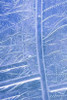 Patterns in Glass I Poster Print by Kathy Mahan - Item # VARPDXPSMHN722