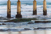 Ocean Beach Pier II Poster Print by Lee Peterson - Item # VARPDXPSPSN299