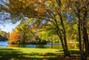 Peaks Of Otter Lake II Poster Print by Alan Hausenflock - Item # VARPDXPSHSF1967