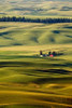 Palouse #27 Poster Print by Dale ODell - Item # VARPDXO239D