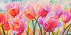 Tulips in Wonderland Poster Print by Cynthia Ann - Item # VARPDX2AN3716