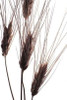 Wheat II Poster Print by Monika Burkhart - Item # VARPDXPSBHT261