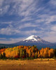 Mt. Adams IV Poster Print by Ike Leahy