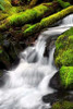 Trailside Waterfall III Poster Print by Douglas Taylor - Item # VARPDXPSTLR628