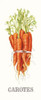 Carotes Poster Print by Gwendolyn Babbitt - Item # VARPDXBAB381