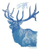 Indigo Deer II Poster Print by Gwendolyn Babbitt - Item # VARPDXBAB152