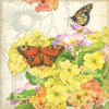 Primrose and Butterflies Poster Print by Julie Paton - Item # VARPDXPAT163