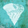 Caribbean Shell I Poster Print by Gwendolyn Babbitt