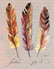 Feathers Fig 1 Poster Print by Gregory Gorham - Item # VARPDXGOR544