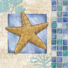 Mosaic Shell Collage VI Poster Print by Paul Brent