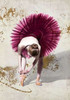 Purple Ballerina Poster Print by Teo Rizzardi - Item # VARPDX3TR3796