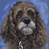 Black Cocker Spaniel Poster Print by Becky Golubski