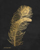 Feather on Black II Poster Print by Gwendolyn Babbitt - Item # VARPDXBAB136