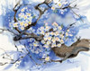 Cherry Blossoms II Poster Print by Paul Brent - Item # VARPDXBNT677