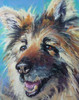 Sierra Poster Print by Becky Golubski - Item # VARPDXGBS101