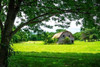 Old Dutch Barn Poster Print by Alan Hausenflock - Item # VARPDXPSHSF2043