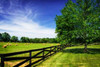 Green Springs Farm I Poster Print by Alan Hausenflock - Item # VARPDXPSHSF1891