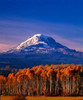 Mt. Adams III Poster Print by Ike Leahy - Item # VARPDXPSLHY196