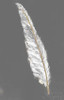 http://c328301.r1.cf1.rackcdn.com/PDX27098LARGE.jpg