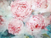 Pink Peonies II Poster Print by Paula Giltner - Item # VARPDXGTR103