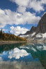 Floe Lake Reflection I Poster Print by Alan Majcrowicz - Item # VARPDX28098