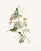 Colorful Hummingbirds III Poster Print by Katie Pertiet - Item # VARPDX28880