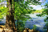 Spring On The River II Poster Print by Alan Hausenflock - Item # VARPDXPSHSF1878