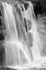Water on the Rocks II BW Poster Print by Douglas Taylor - Item # VARPDXPSTLR652