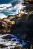 La Jolla Pelicans I Poster Print by Alan Hausenflock - Item # VARPDXPSHSF2006