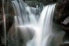 Falling Water I Poster Print by Douglas Taylor - Item # VARPDXPSTLR634