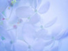 Lime Light Hydrangea II Poster Print by Kathy Mahan - Item # VARPDXPSMHN626