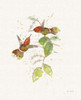 Colorful Hummingbirds II Poster Print by Katie Pertiet - Item # VARPDX28879