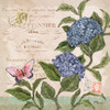 Parisian Hydrangeas II Poster Print by Paul Brent - Item # VARPDXBNT730