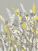 Yellow Meadow I Poster Print by Kris Ruff - Item # VARPDXRUF132