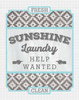 Sunshine Laundry II Poster Print by Ashley Sta Teresa - Item # VARPDXSTA138