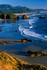 Ecola State Park II Poster Print by Ike Leahy - Item # VARPDXPSLHY123