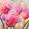 Tulips in Wonderland I Poster Print by Cynthia Ann - Item # VARPDX1AN3724