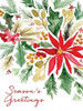 Poinsettia Pine Poster Print by Sara Berrenson - Item # VARPDXBER200