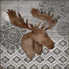Woodland Ikat III Poster Print by Paul Brent - Item # VARPDXBNT898