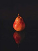 Pear Reflection Poster Print by Monika Burkhart - Item # VARPDXPSBHT264