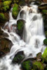 Trailside Waterfall IV Poster Print by Douglas Taylor - Item # VARPDXPSTLR629